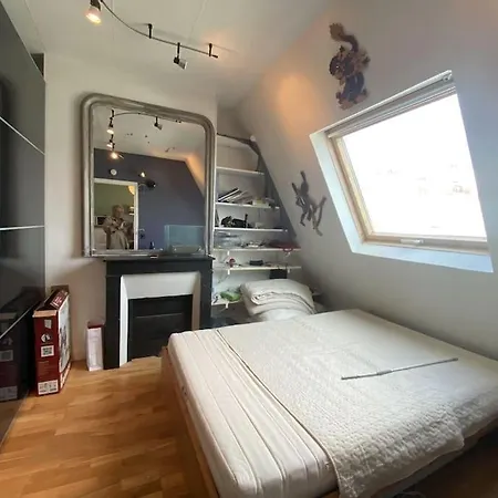 Entre Etoile Et Trocadero Appartement